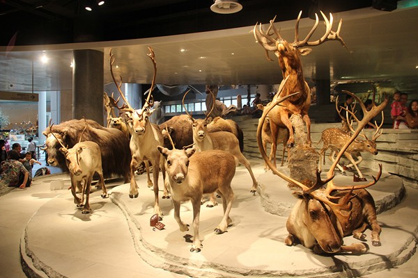 1474953406440196kJzu.jpg 04.jpg